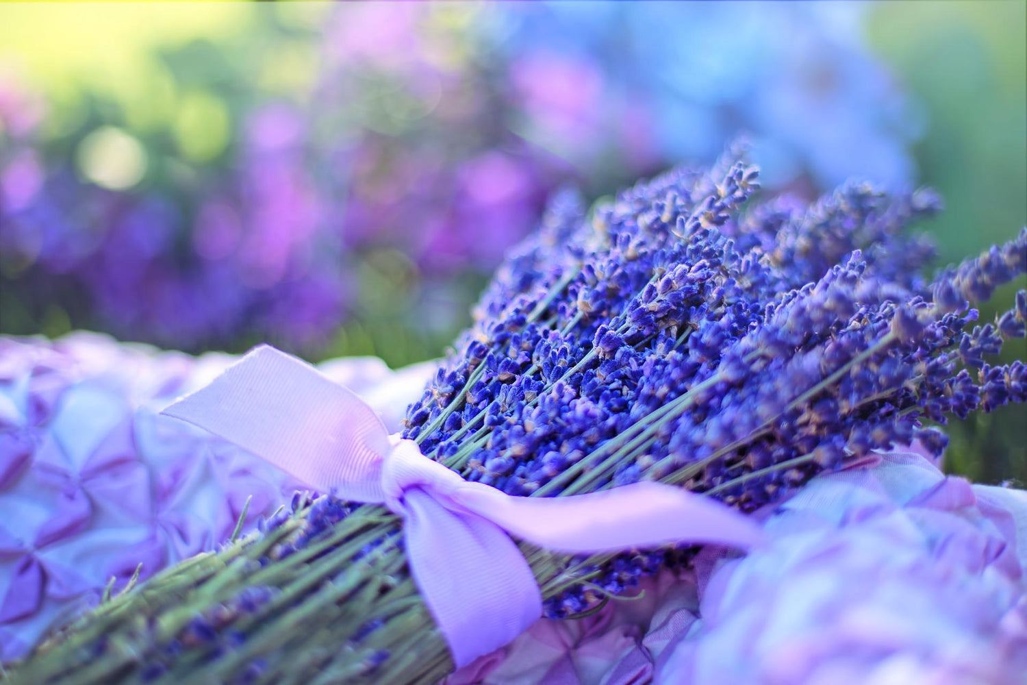Aromatherapy Collection