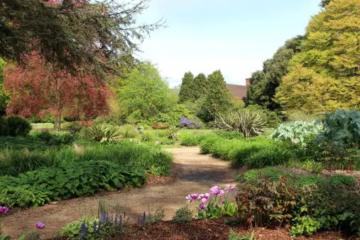 Sage & Cypress Wax Melt-Bergamot, Sage, Cypress, & Palo Santo