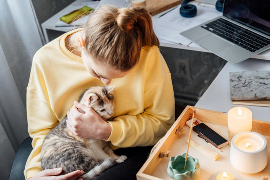 Can Our Pets Help With Stress