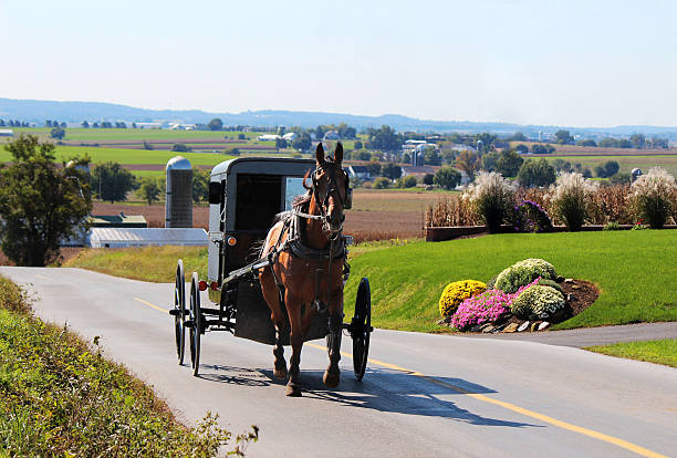Amish Country Freshie Air Freshener- Cinnamon & Spice Cake