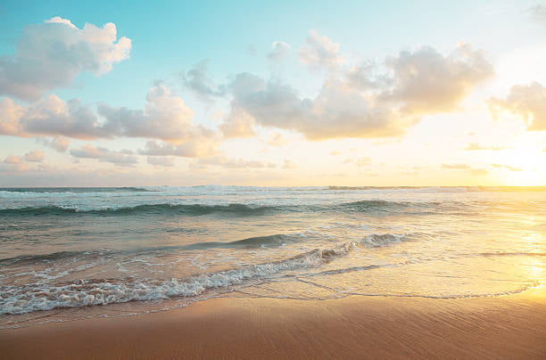 Beach Escape Summer Wax Melts-Fresh Orange & Jasmine