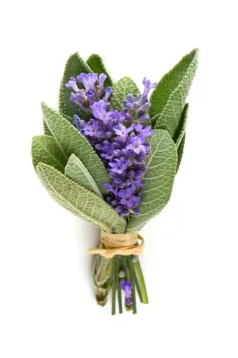 True Inner Healing Aromatherapy Wax Melt-Lavender & Sage